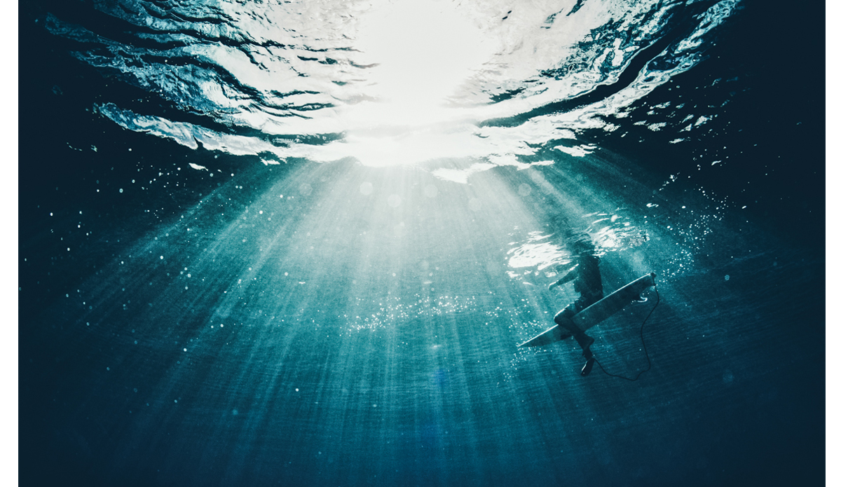 Photo: <a href=\"https://haydenoneillphoto.com/\">Hayden O\'Neill</a>