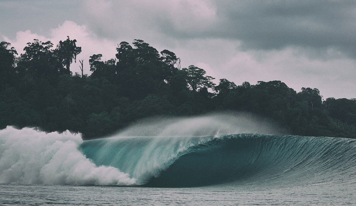 This is not Greenbush. Photo: <a href= \"https://joaobracourt.com/\" target=_blank>Joao Bracourt.</a>