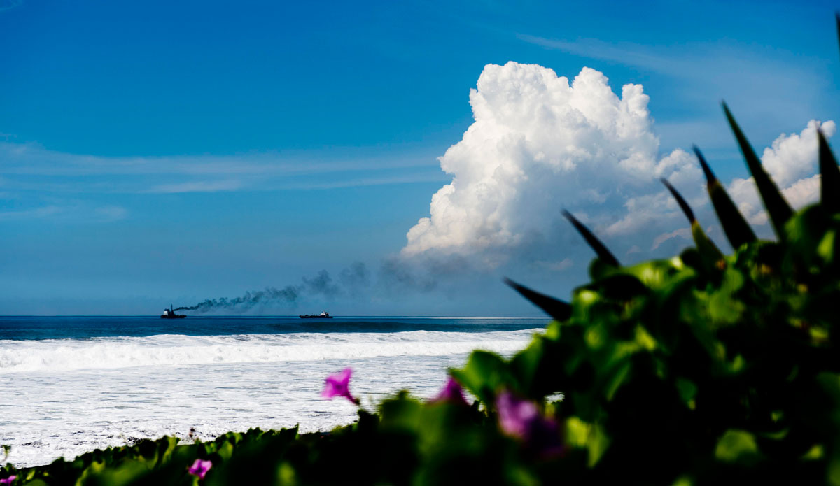 Photo: <a href=\"https://www.jackdekortphoto.com.au/\">Jack Dekort</a>