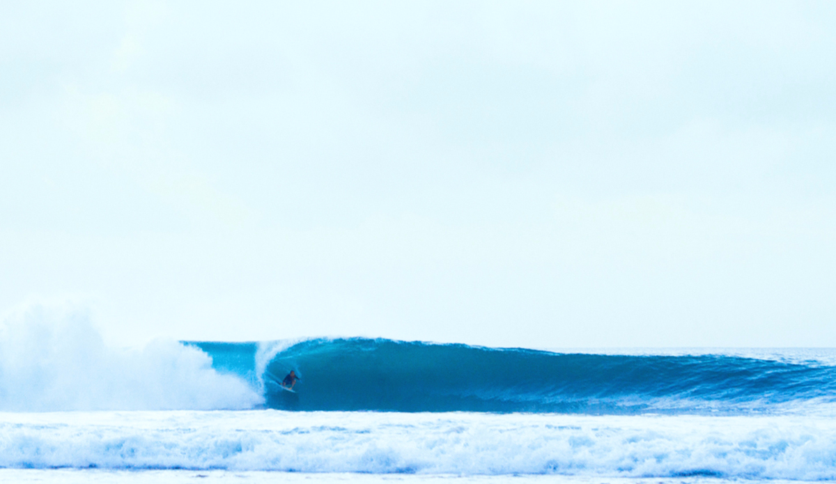 Photo: Hayden O\'Neill 