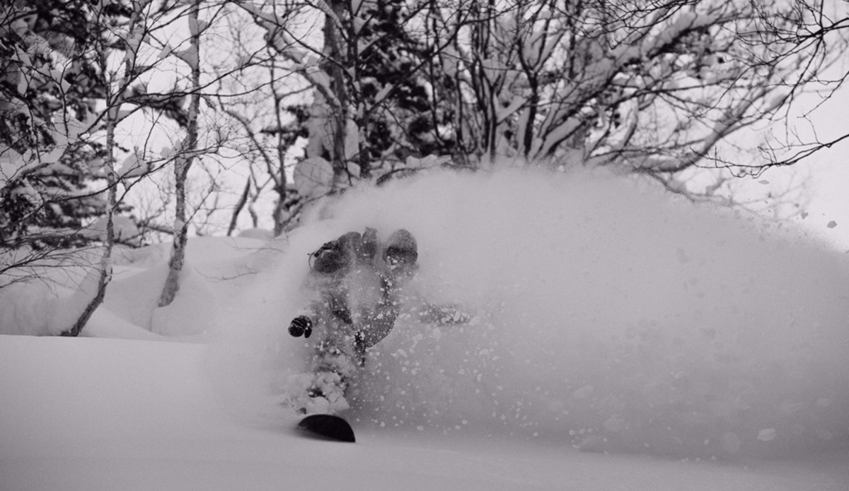 Photo: DeanBlotto Gray 