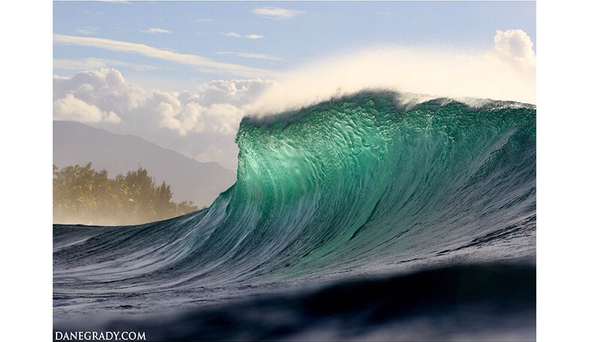 Photo: <a href=\"https://www.instagram.com/danegrady\">Dane Grady Instagram</a>