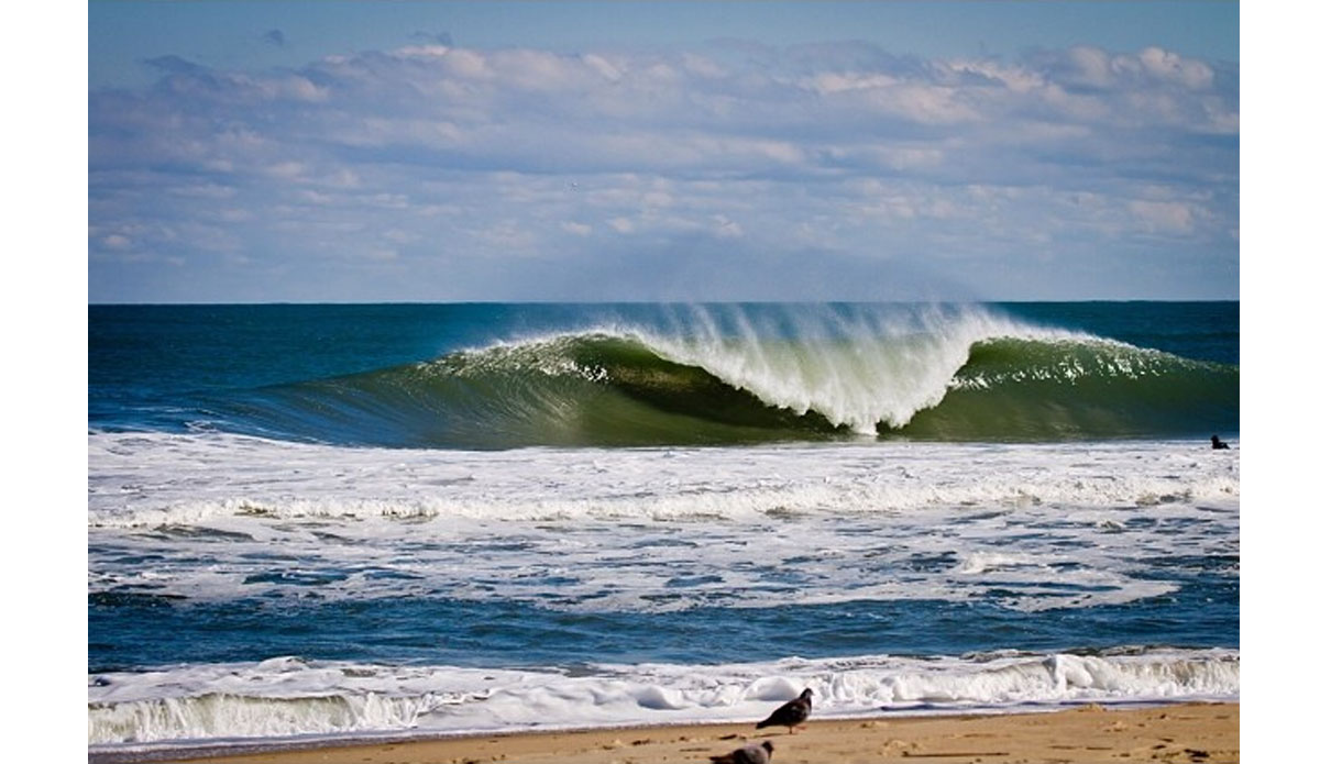 Photo: <a href=\"https://www.instagram.com/graham_hunt\">Graham Hunt Instagram</a>