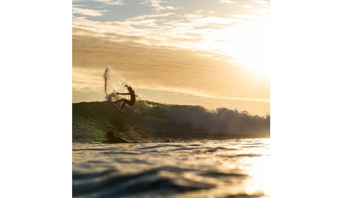 Photo: <a href=\"https://www.instagram.com/kook_safari\">Kook Safari Instagram</a>