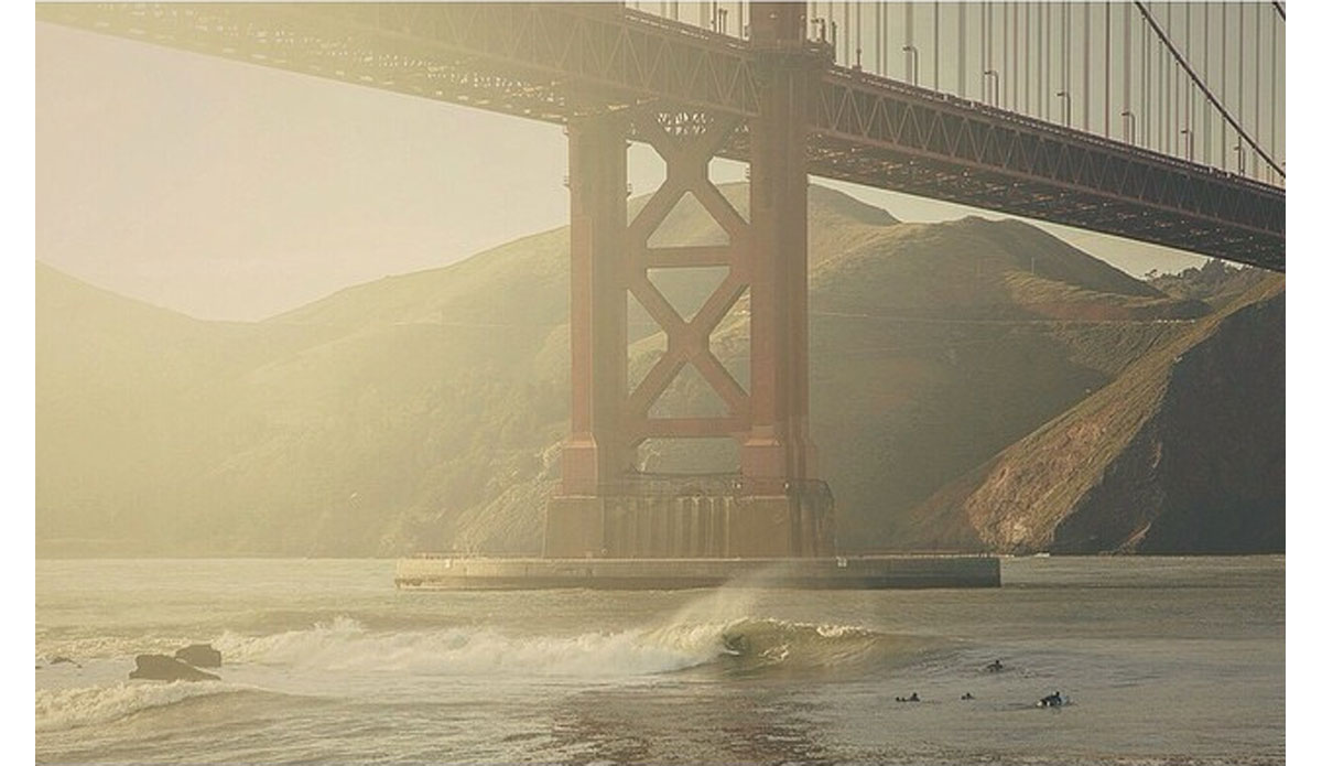 Photo: <a href=\"https://www.instagram.com/shawn_fender\">Shawn Fender Instagram</a>