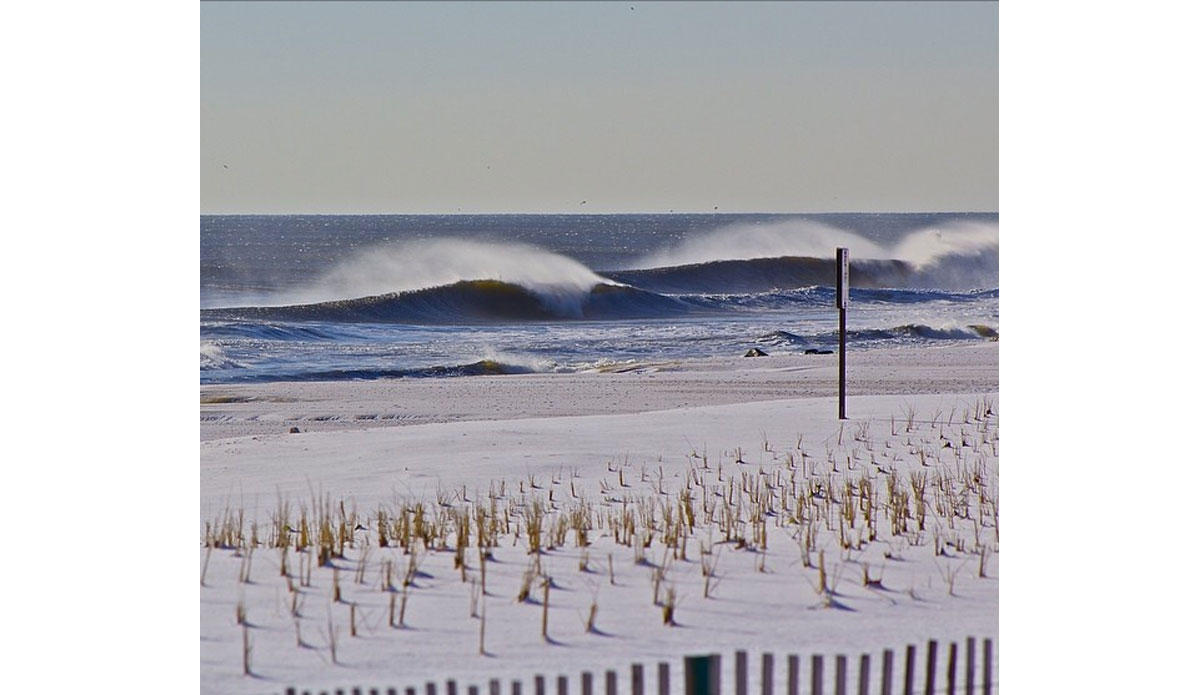 Photo: <a href=\"https://www.instagram.com/shcoleman4\">shcoleman4 Instagram</a>