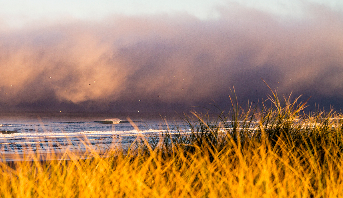 The beauty of the Pacific Northwest is unmatched. Photo: <a href=\"https://www.markmcinnis.com\">Mark McInnis</a>