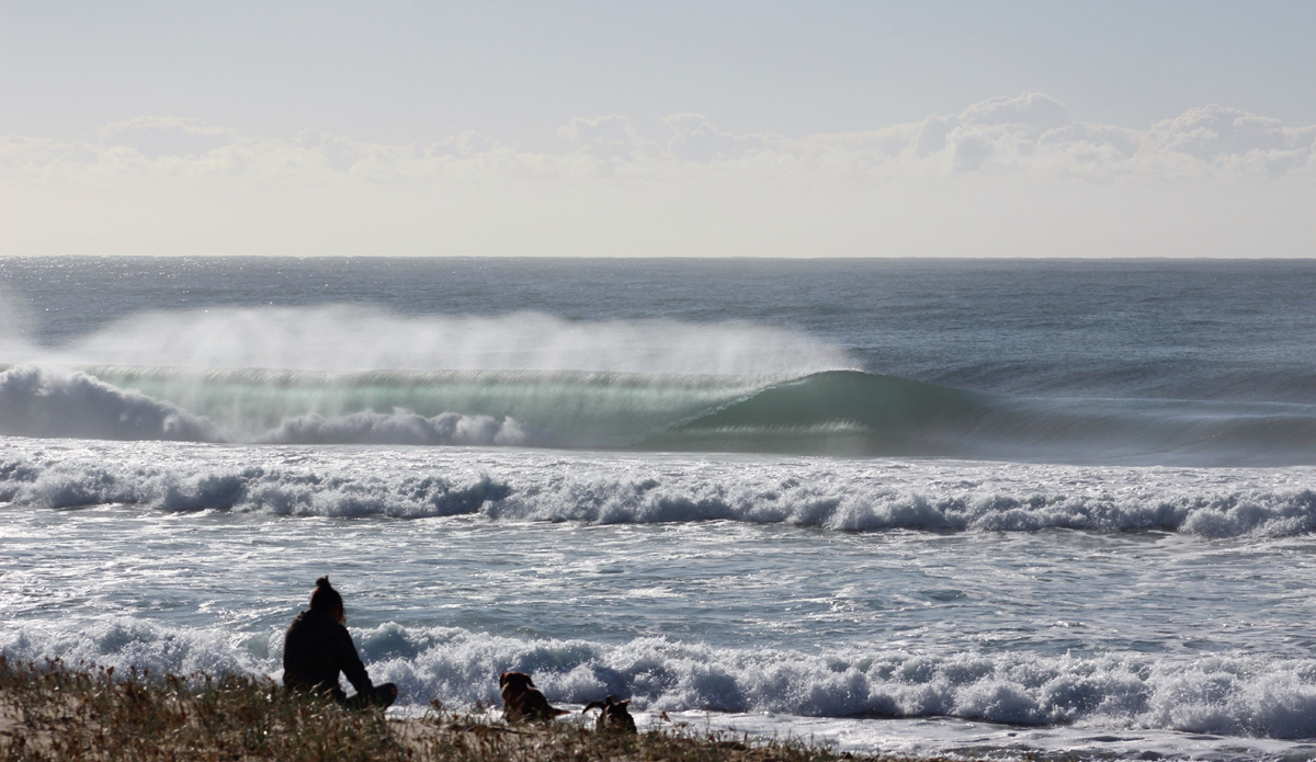 The Perfect View. A man and his dog watch on as a cold winter\'s empty lines roll on through close to home. Photo: <a href=\"https://rickycavarra.com\">Ricky Cavarra</a>