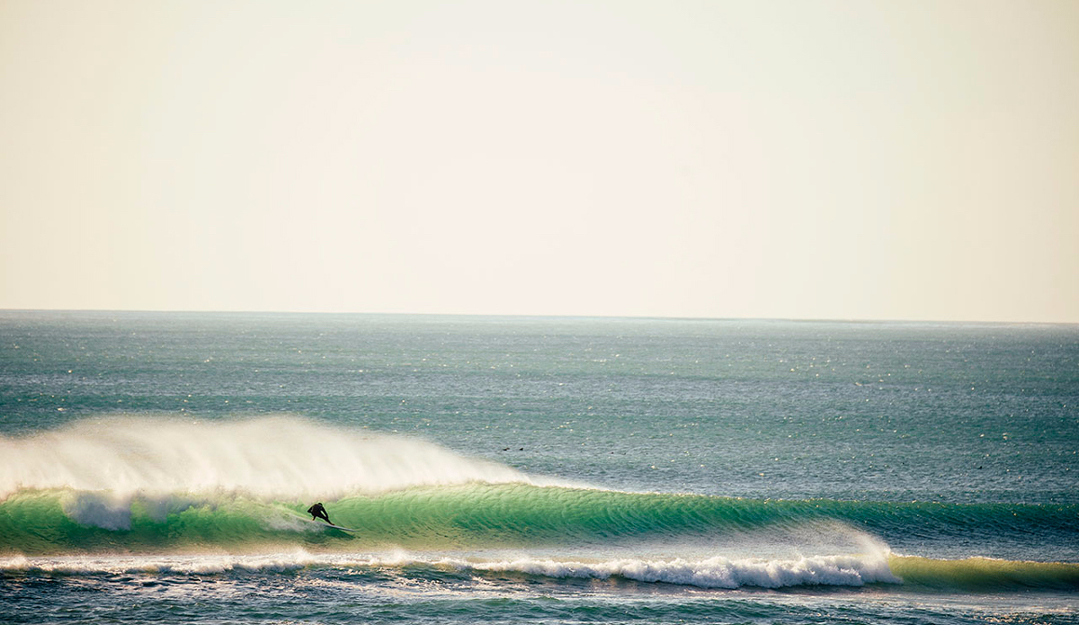 Photo: <a href=\"https://www.dylangordon.com/\">Dylan Gordon</a>