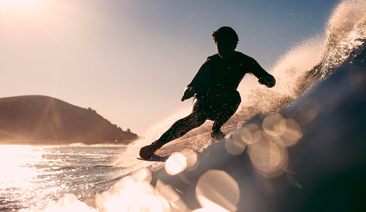 Photo: <a href=\"https://www.dylangordon.com/\">Dylan Gordon</a>