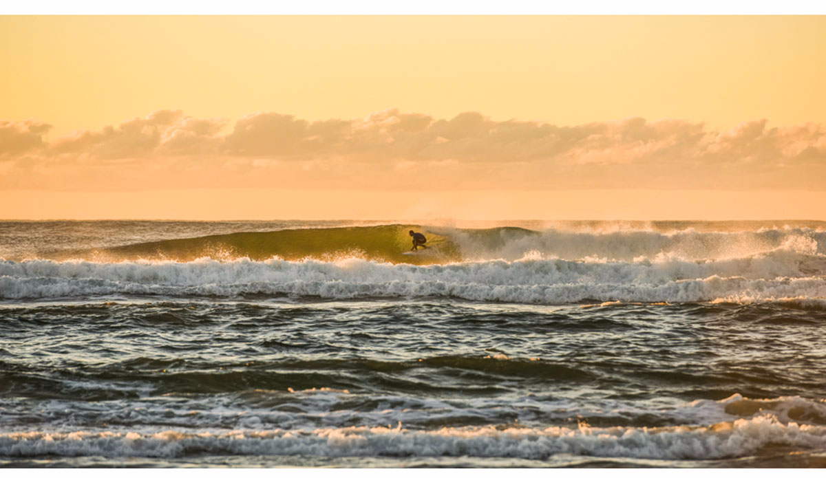 Rhian Slapp. Photo: <a href=\"https://matttibbey.tumblr.com/\">Matt Tibbey</a>