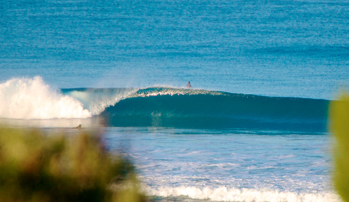 Photo: Michael Farkas