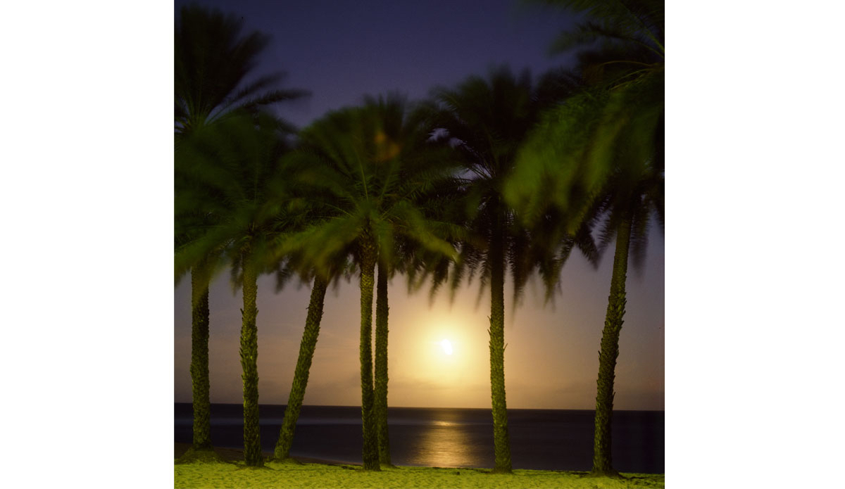 Photo: <a href=\"https://www.brianbielmann.com\">BrianBielmann.com</a>