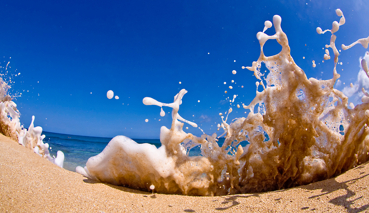 Photo: <a href=\"https://www.brianbielmann.com\">BrianBielmann.com</a>