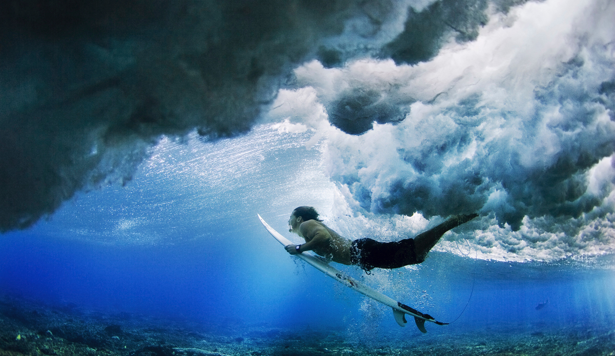 Photo: <a href=\"https://www.brianbielmann.com\">BrianBielmann.com</a>