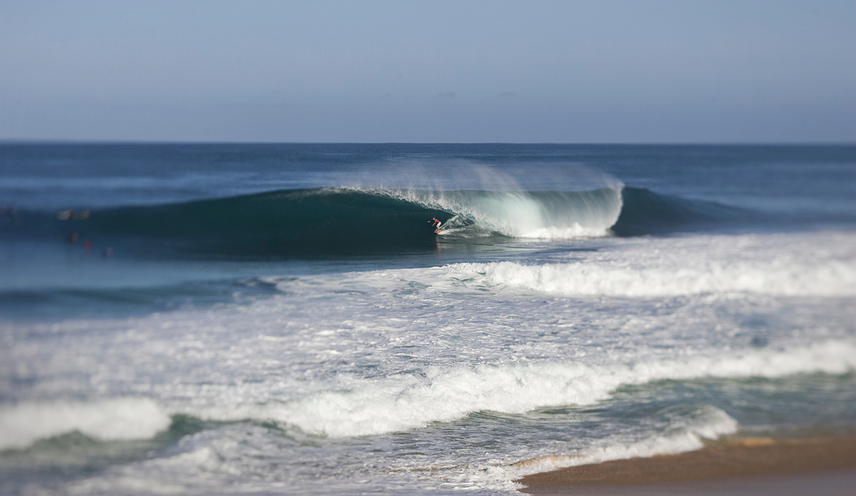 Photo: <a href=\"https://www.brianbielmann.com\">BrianBielmann.com</a>