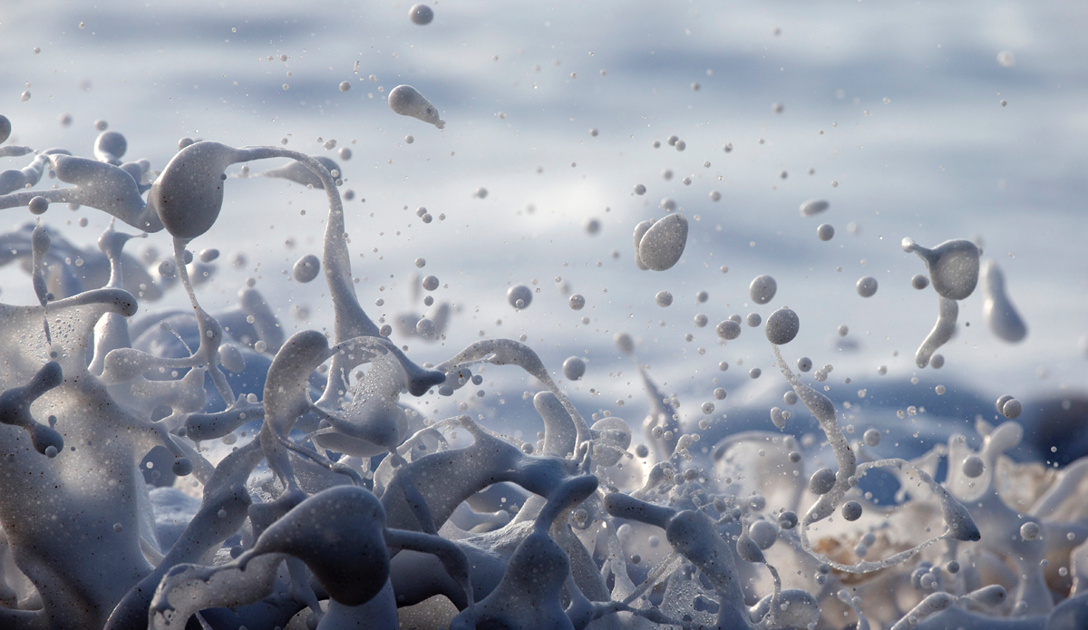 Photo: <a href=\"https://www.brianbielmann.com\">BrianBielmann.com</a>