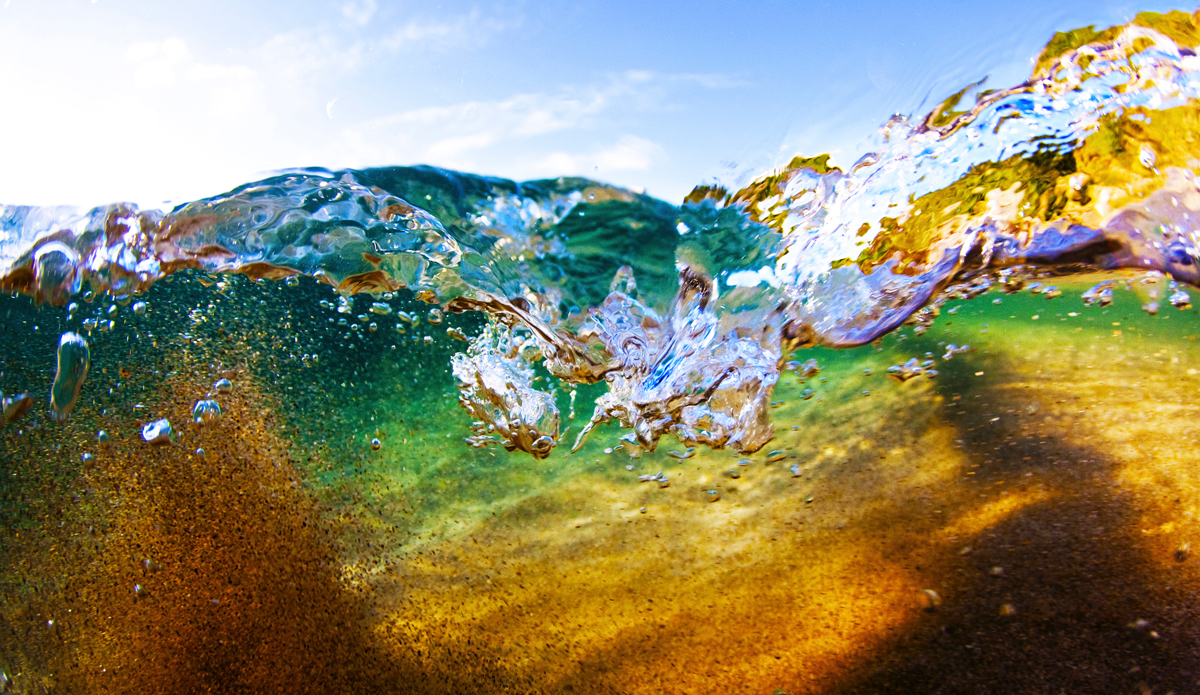 Photo: <a href=\"https://www.brianbielmann.com\">BrianBielmann.com</a>