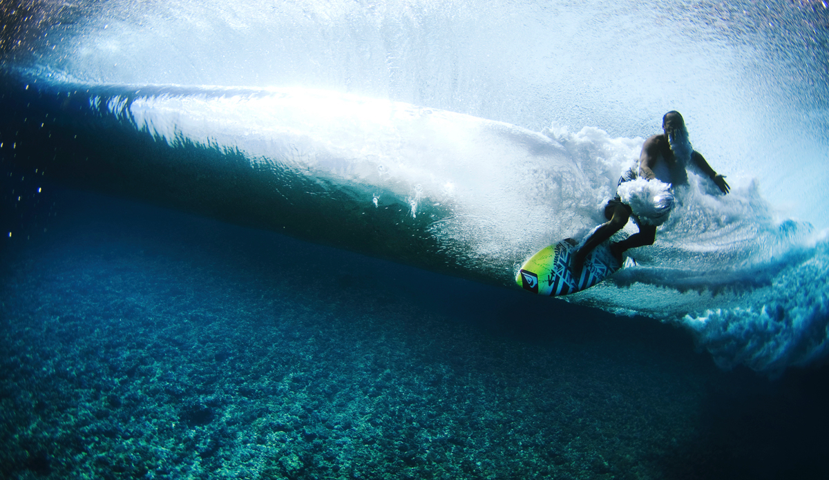 Photo: <a href=\"https://www.brianbielmann.com\">BrianBielmann.com</a>