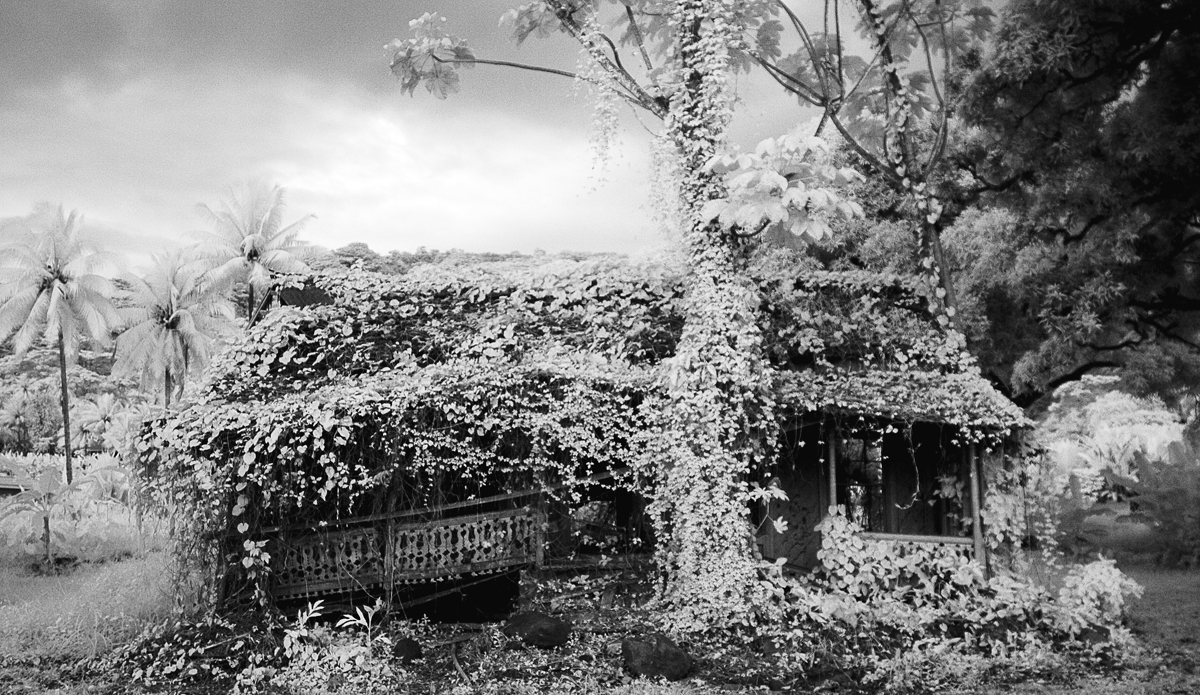 Photo: <a href=\"https://www.brianbielmann.com\">BrianBielmann.com</a>