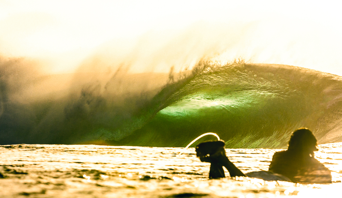 Photo: <a href=\"https://www.brianbielmann.com\">BrianBielmann.com</a>