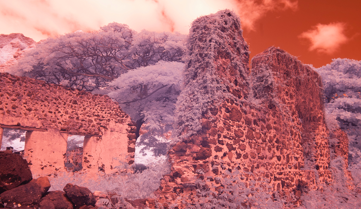 Photo: <a href=\"https://www.brianbielmann.com\">BrianBielmann.com</a>