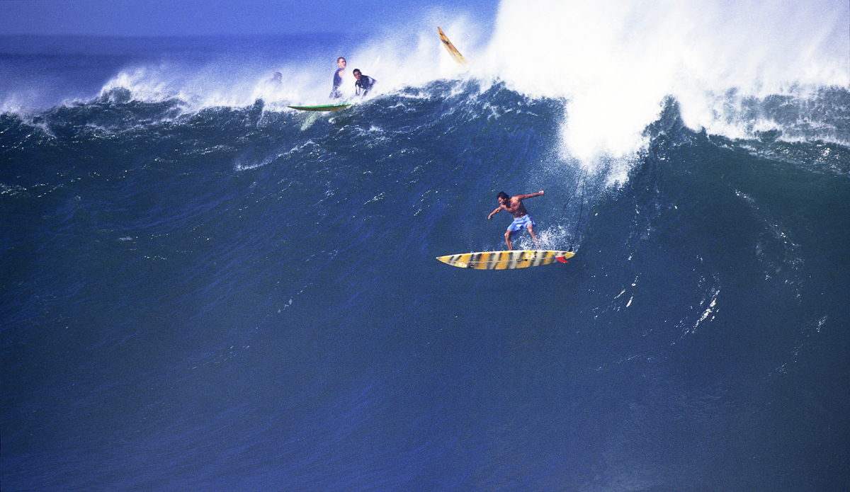 Photo: <a href=\"https://www.brianbielmann.com\">BrianBielmann.com</a>