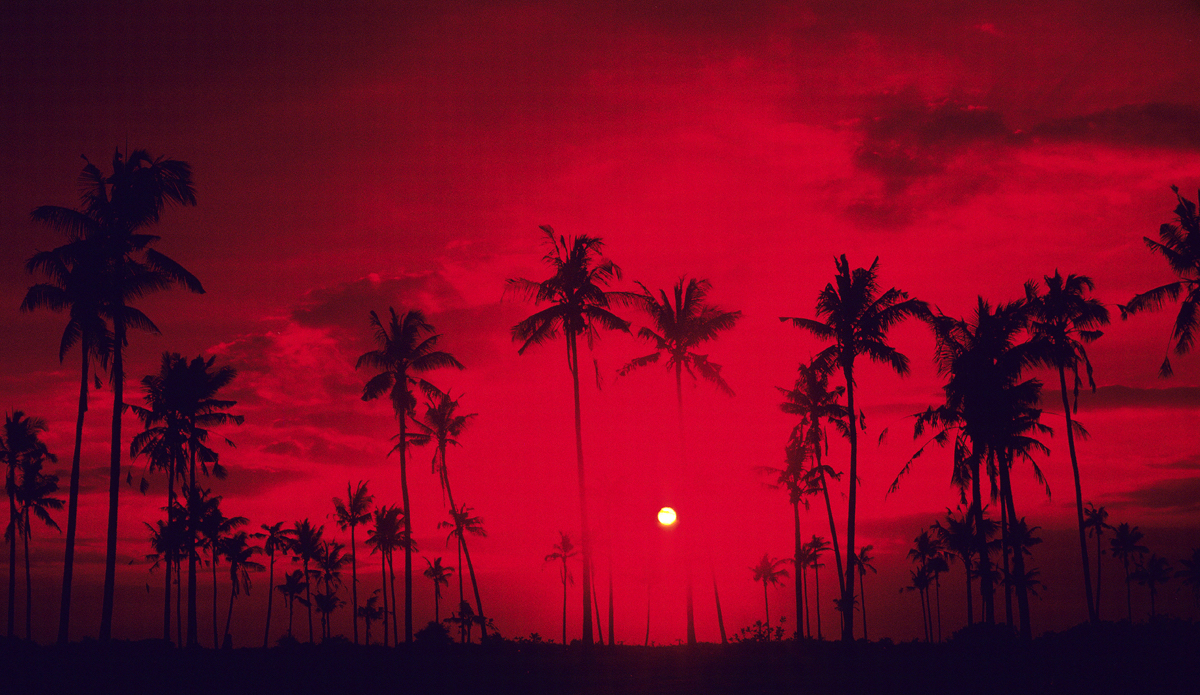 Photo: <a href=\"https://www.brianbielmann.com\">BrianBielmann.com</a>