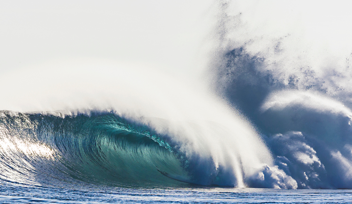 Photo: <a href=\"https://www.brianbielmann.com\">BrianBielmann.com</a>