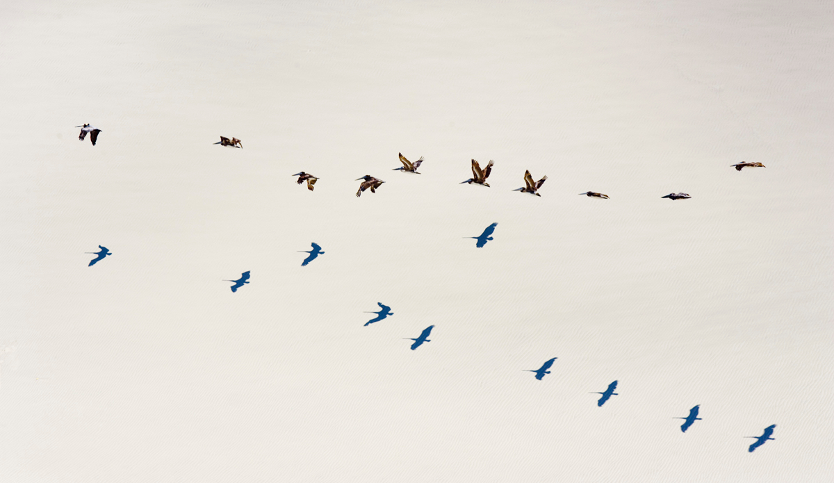 Photo: <a href=\"https://www.brianbielmann.com\">BrianBielmann.com</a>