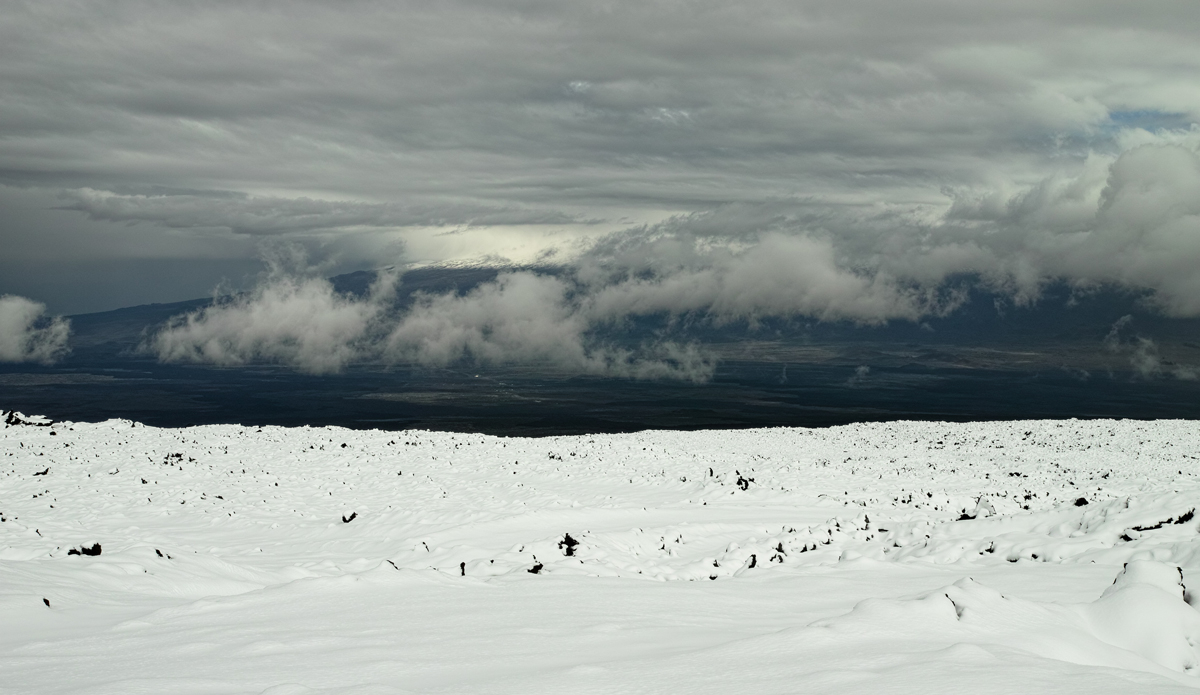 Photo: <a href=\"https://www.alohabigmike.com/\">Aloha Big Mike</a>