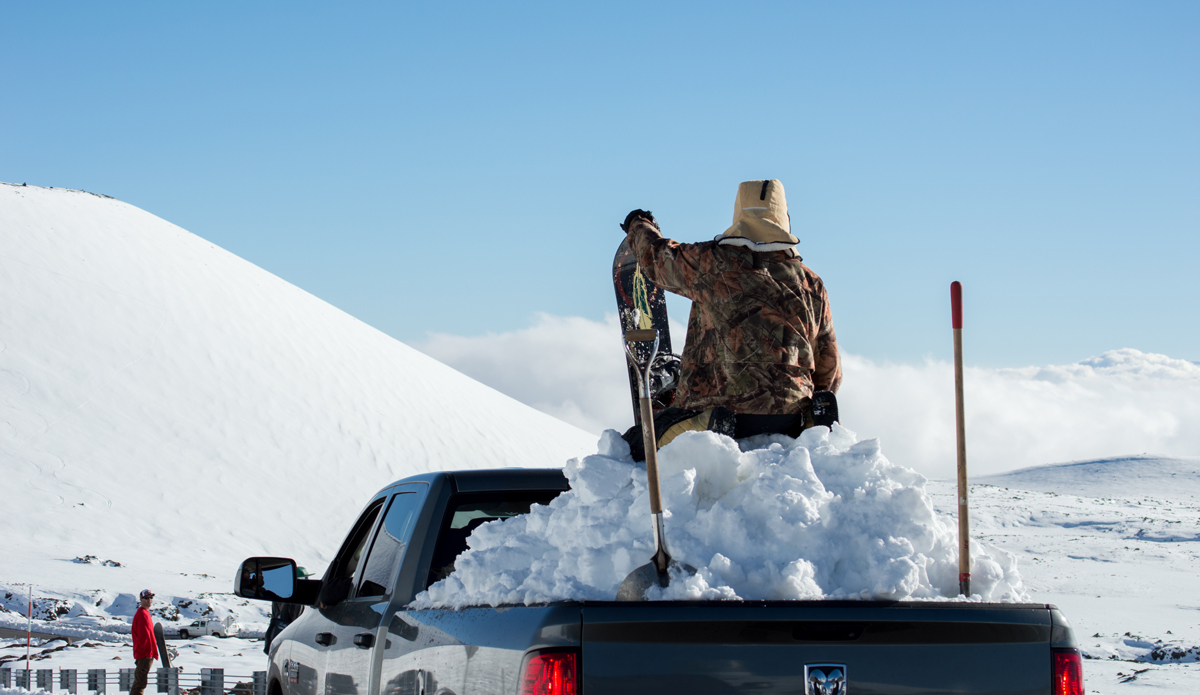 Photo: <a href=\"https://www.alohabigmike.com/\">Aloha Big Mike</a>