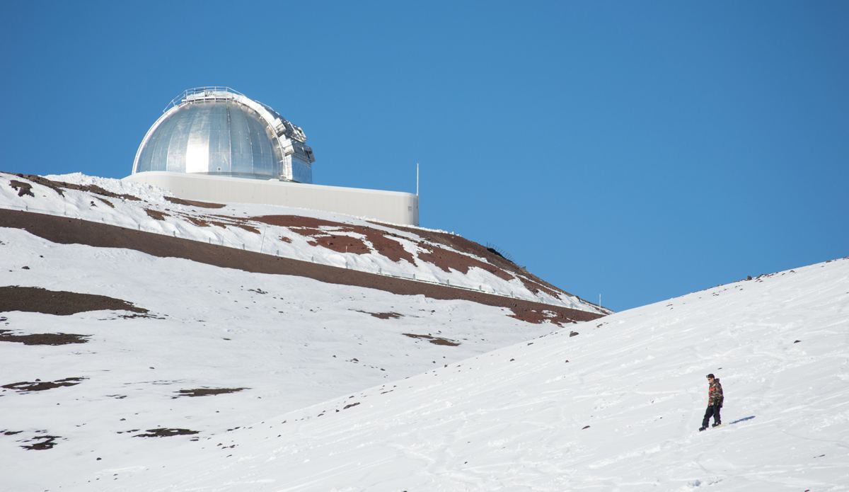 Photo: <a href=\"https://www.alohabigmike.com/\">Aloha Big Mike</a>