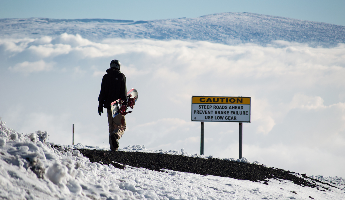 Photo: <a href=\"https://www.alohabigmike.com/\">Aloha Big Mike</a>