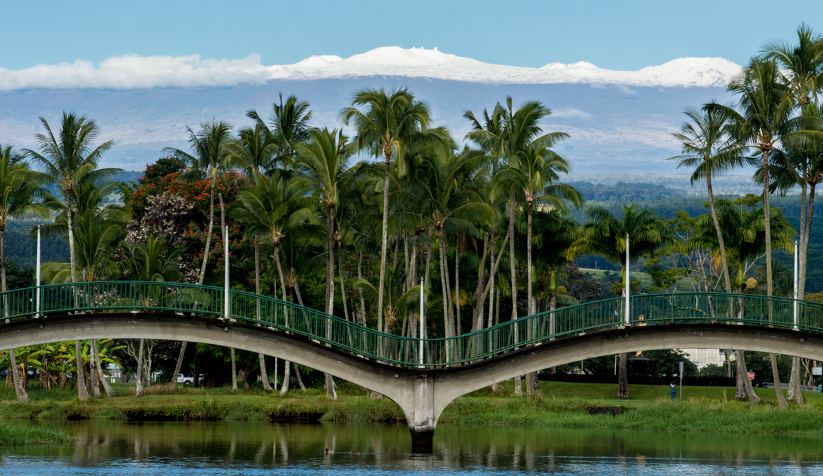 Photo: <a href=\"https://www.alohabigmike.com/\">Aloha Big Mike</a>