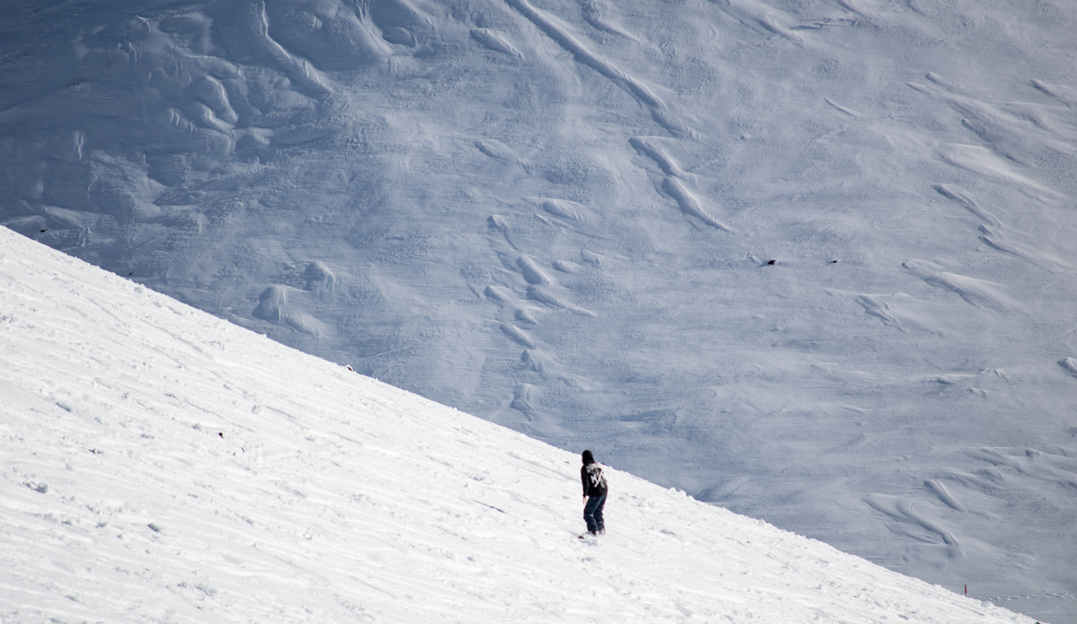 Photo: <a href=\"https://www.alohabigmike.com/\">Aloha Big Mike</a>