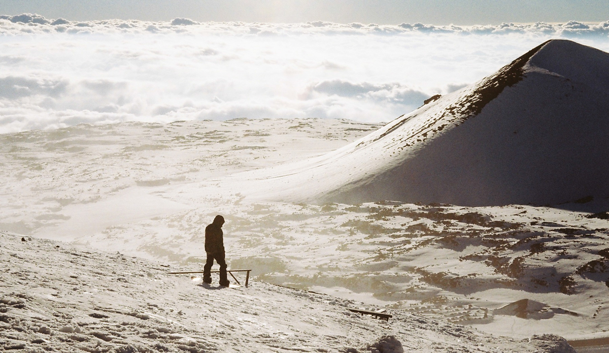 Photo: <a href=\"https://www.alohabigmike.com/\">Aloha Big Mike</a>