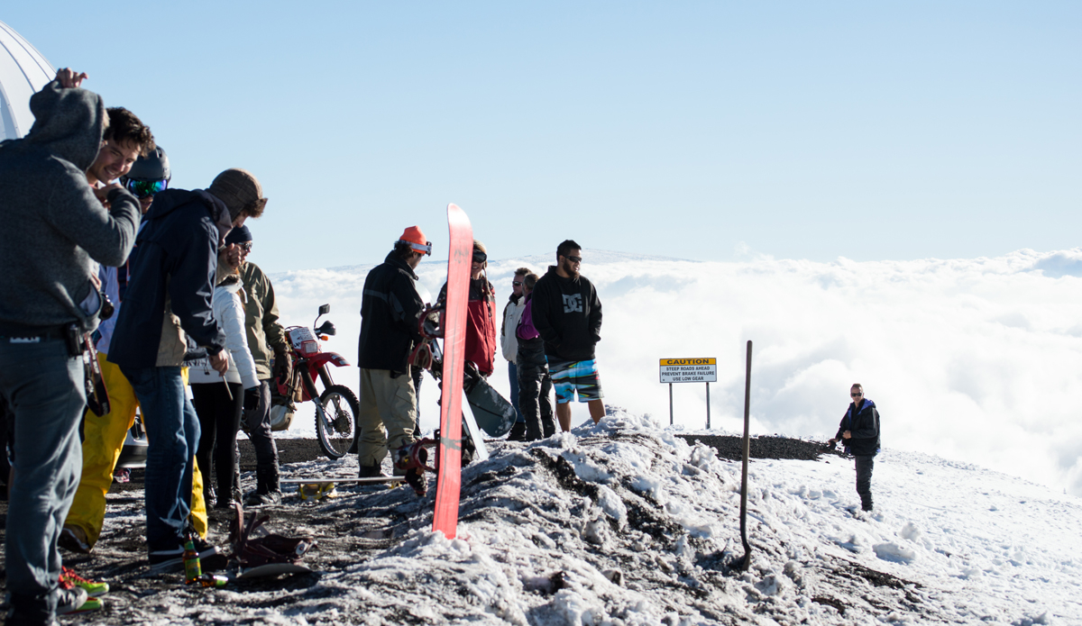 Photo: <a href=\"https://www.alohabigmike.com/\">Aloha Big Mike</a>