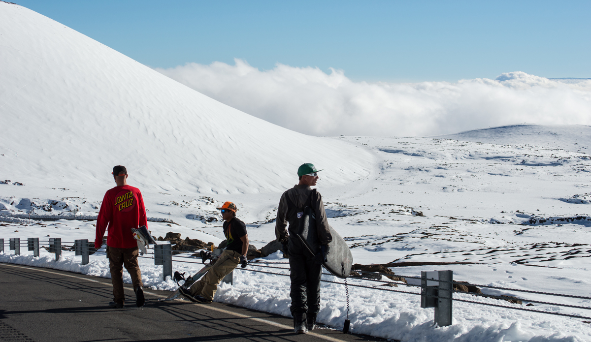 Photo: <a href=\"https://www.alohabigmike.com/\">Aloha Big Mike</a>