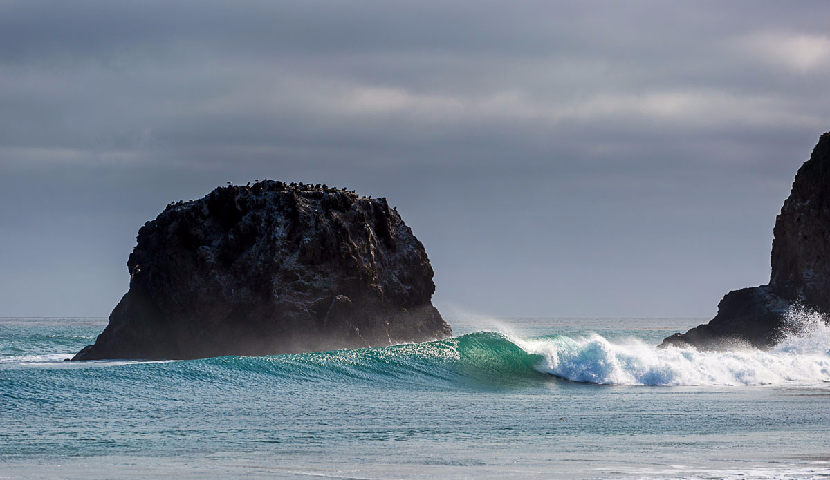 Photo:<a href=\"https://www.julien-bacal.com/\"> Julien Bacal</a>