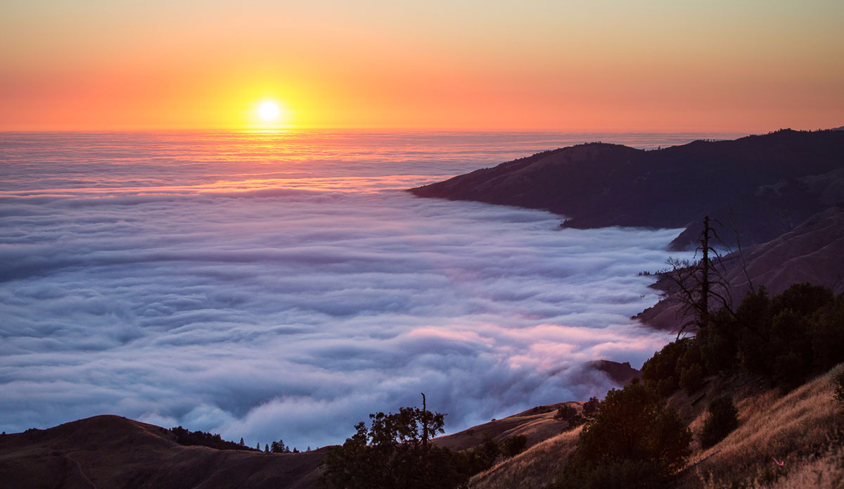 Photo:<a href=\"https://www.julien-bacal.com/\"> Julien Bacal</a>