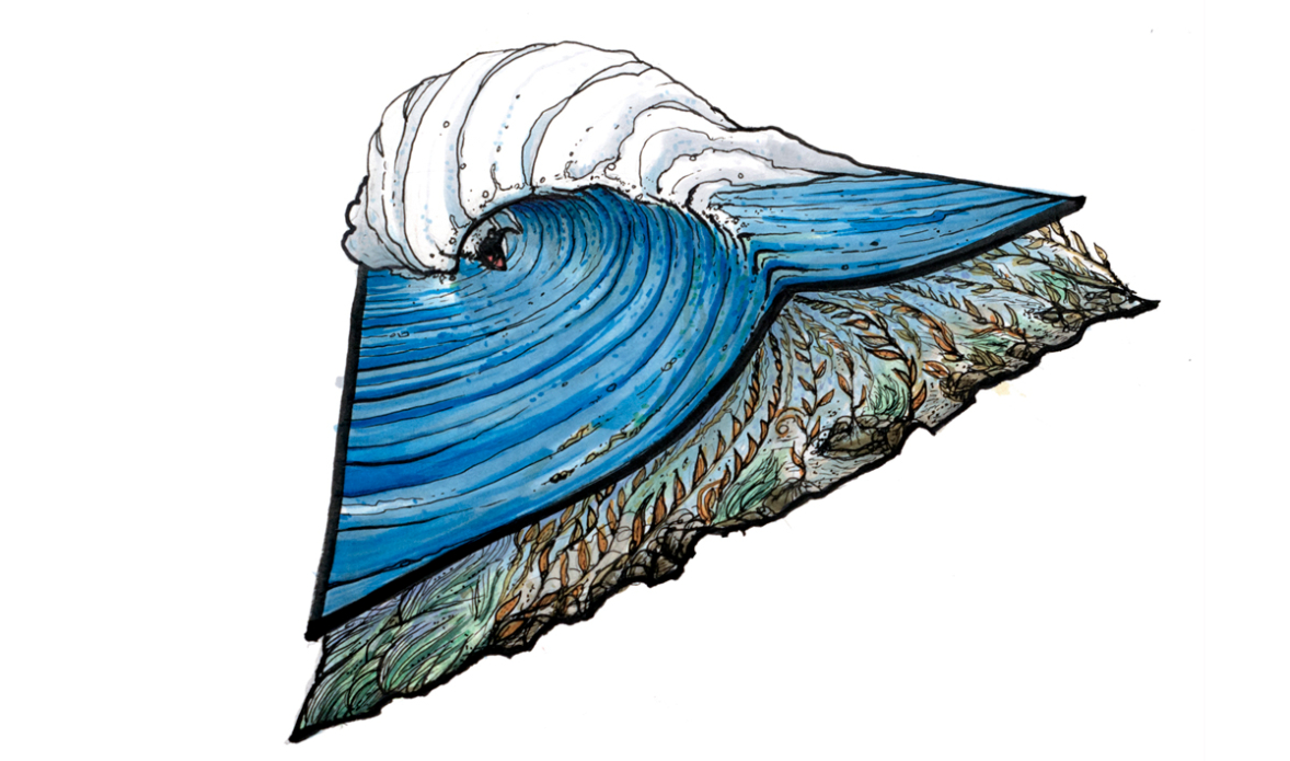 Kelpy. Illustration: Blaze Syka