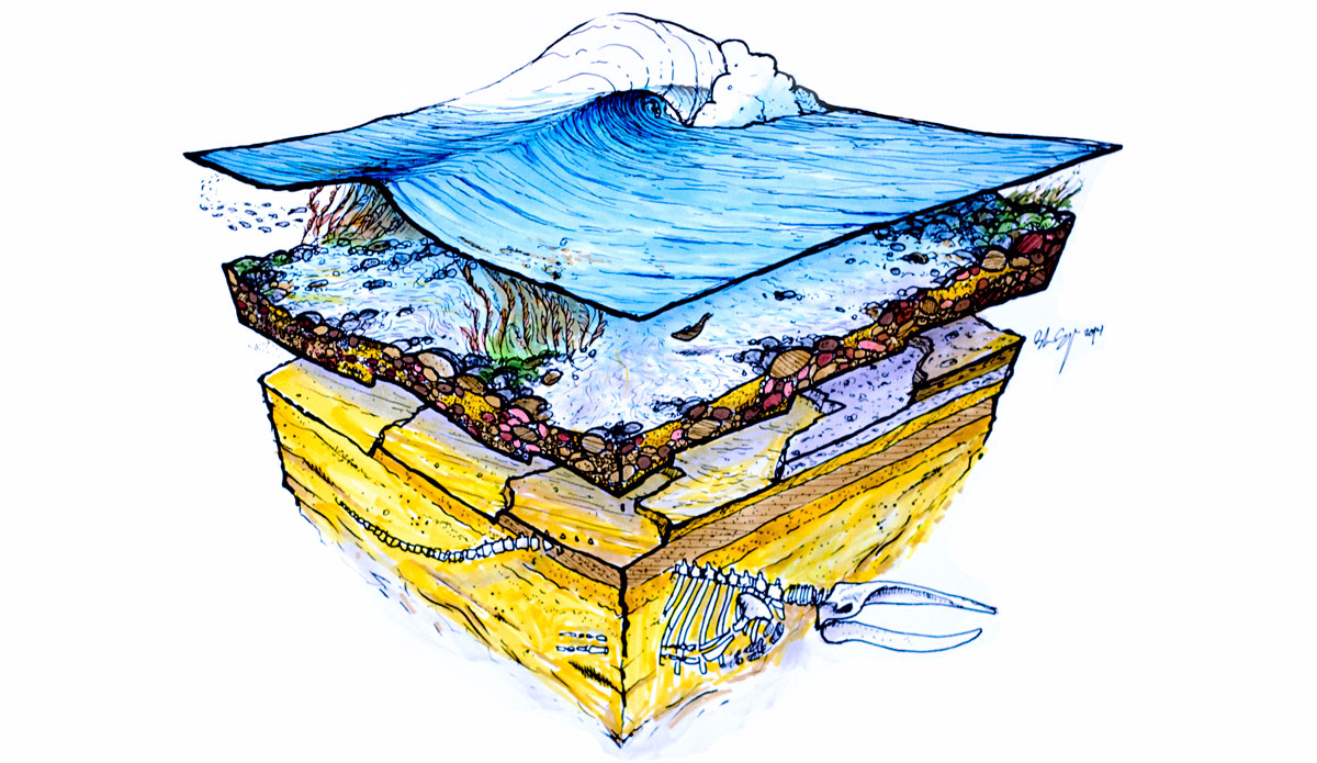Sea Levels. Illustration: <a href=\"https://www.blazesyka.com\">Blaze Syka</a>