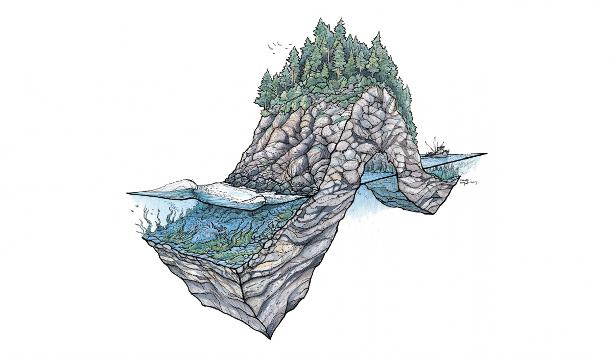 Distortion. Credit: <a href=\"https://www.blazesyka.com/\"> Blaze Syka </a>