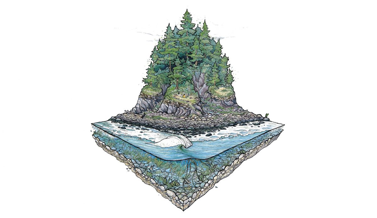 Isolation. Credit: <a href=\"https://www.blazesyka.com/\"> Blaze Syka </a>