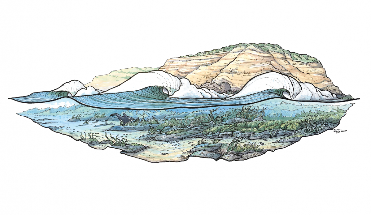 Killers. Credit: <a href=\"https://www.blazesyka.com/\"> Blaze Syka </a>