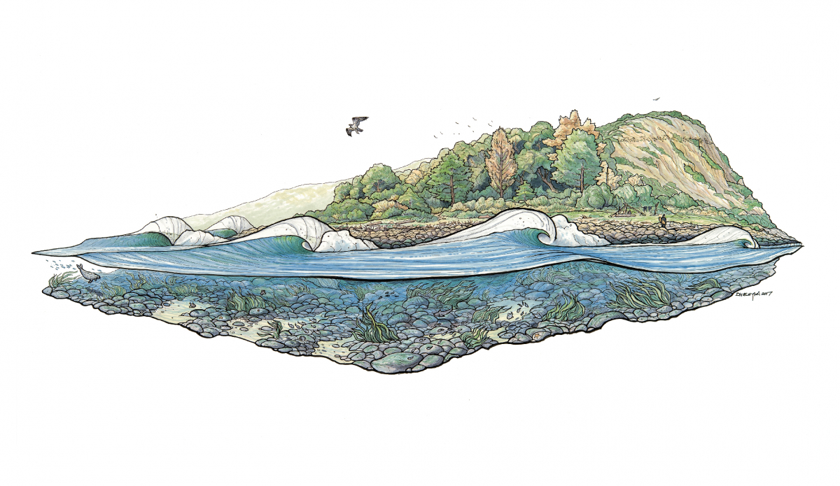 Rare Bird. Credit: <a href=\"https://www.blazesyka.com/\"> Blaze Syka </a>