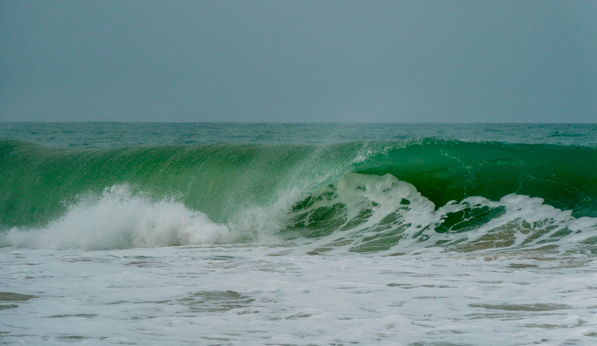 An early morning and a 20 minute boat ride paid off. Photo: <a href=\"https://www.facebook.com/ColinRothPhoto\"> Colin Roth</a>