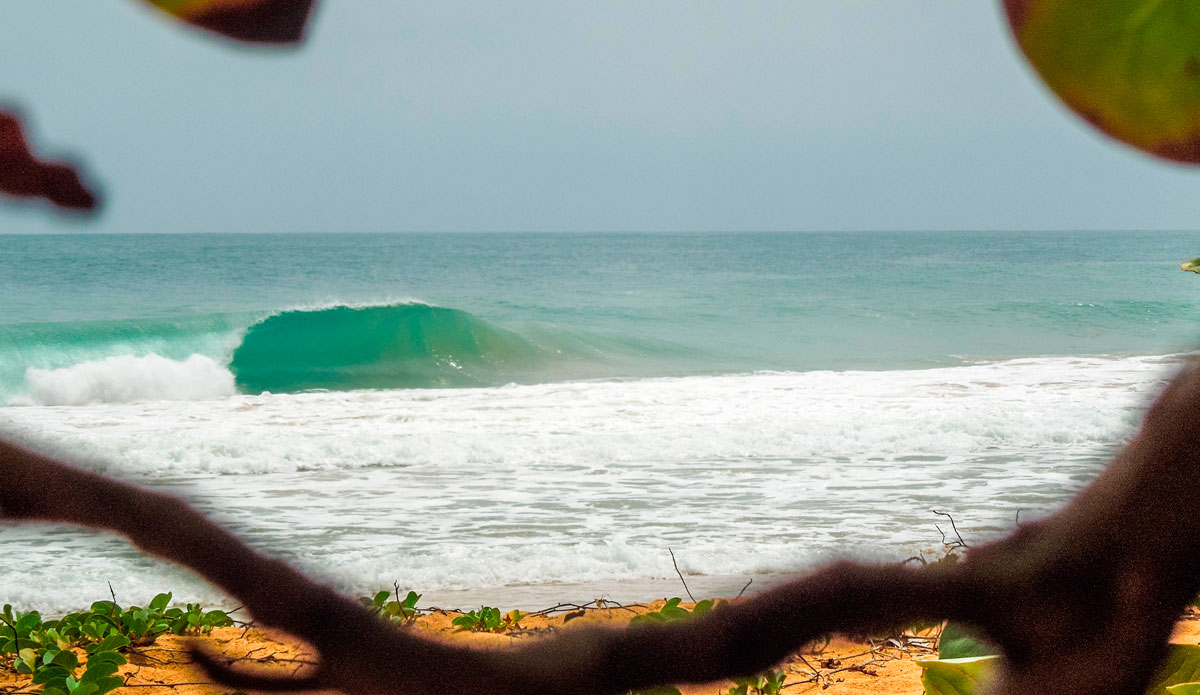 A view from the jungle onto an open left at Bluff. Photo: <a href=\"https://www.facebook.com/ColinRothPhoto\"> Colin Roth</a>