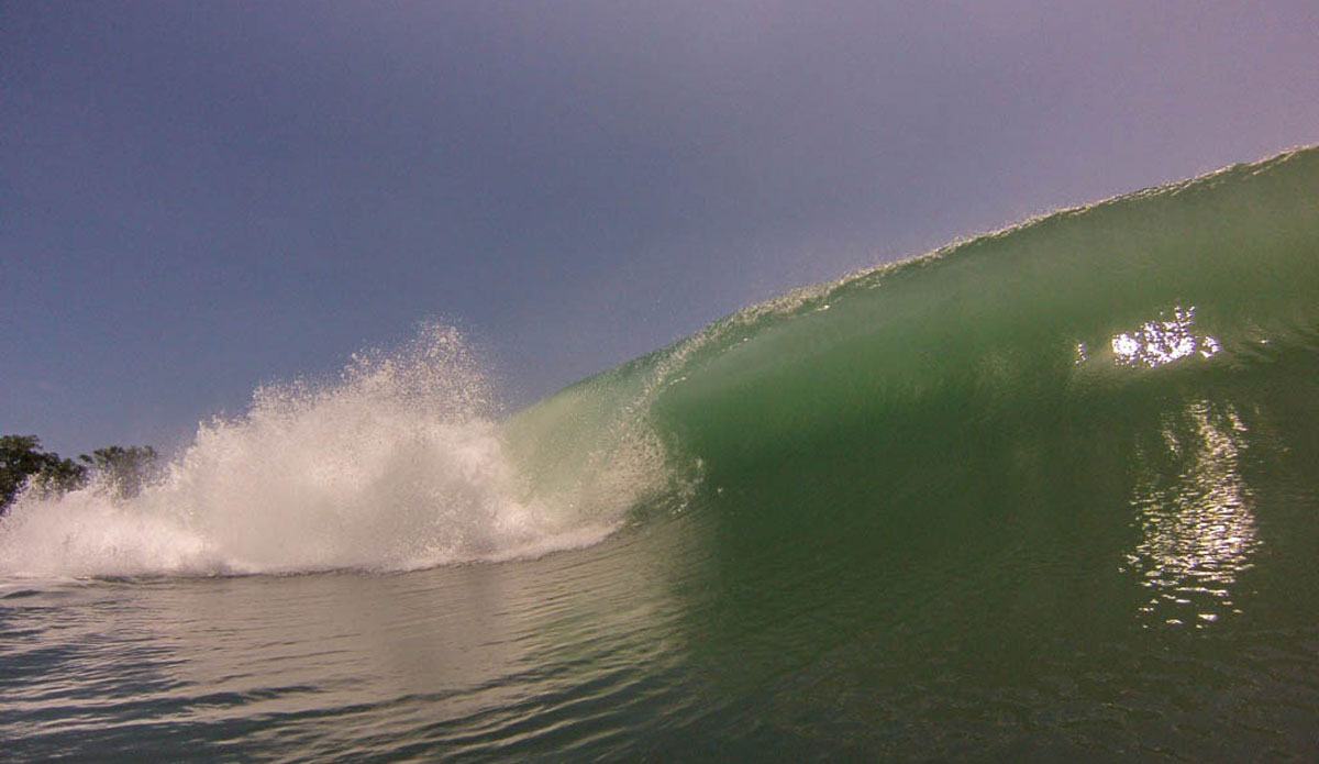 I\'ll take a wave on the head any day if it looks like this beauty. Photo: <a href=\"https://www.facebook.com/ColinRothPhoto\"> Colin Roth</a>